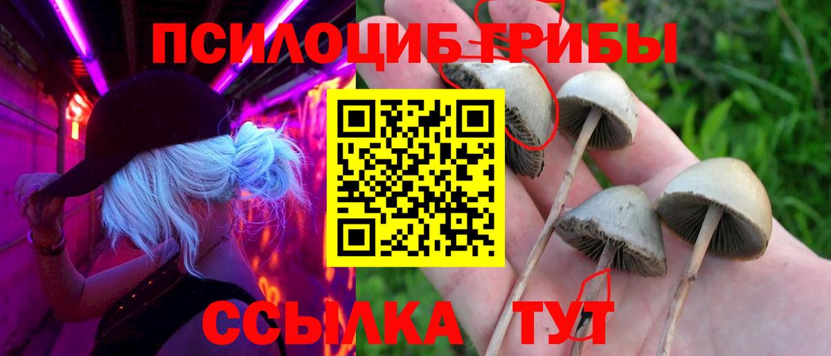 Псилоцибиновые грибы Magic Shrooms  Галлюциногенные грибы прущие грибы  Вход с VPN  Рославль 